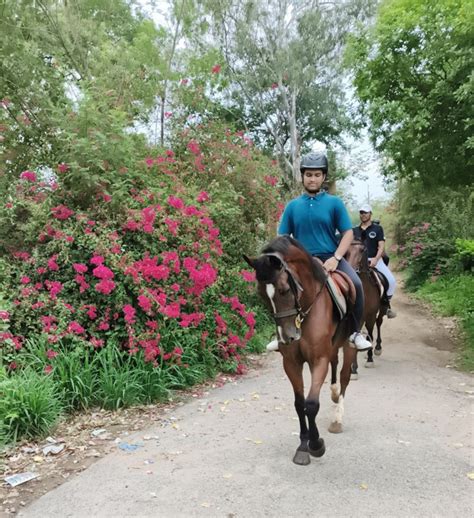 Royal caballo club .